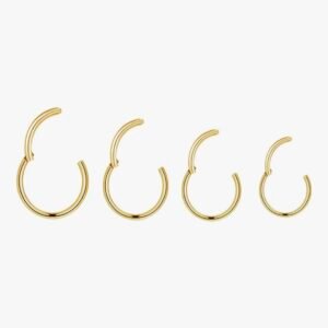 4Pairs/Pcs 18G Surgical Steel Hinged Clicker Segment Nose Rings Hoop Helix Cartilage Daith Tragus