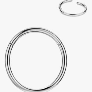 FANSING Surgical Steel Hinged Nose Rings Hoop for Nostril Septum Cartilage Helix Daith Tragus Rook Conch Lip Ear Lobe Piercings